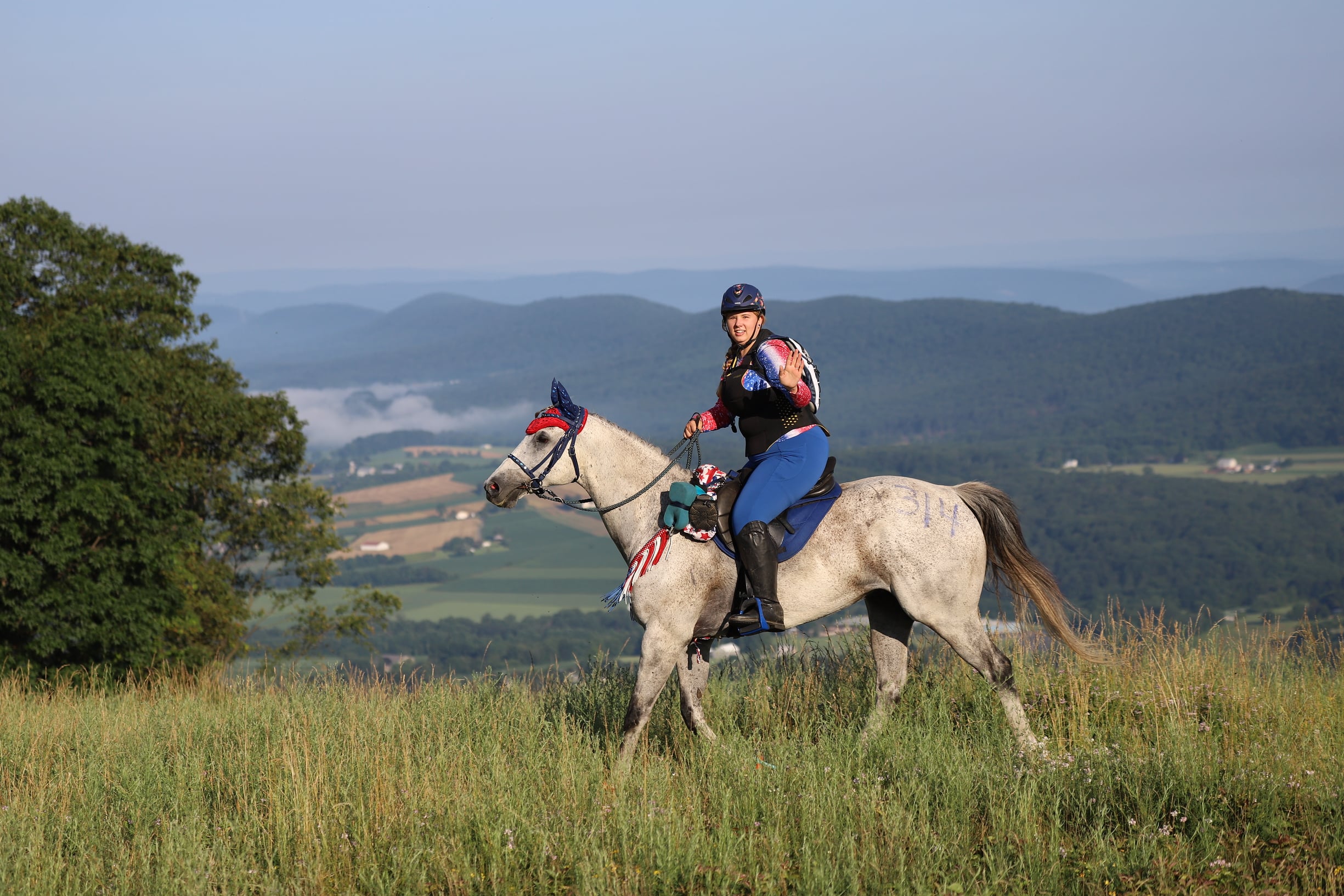 Featured image for “2025 Bill Kraatz Thoroughbred Makeover Ambassador Award: Drafted”