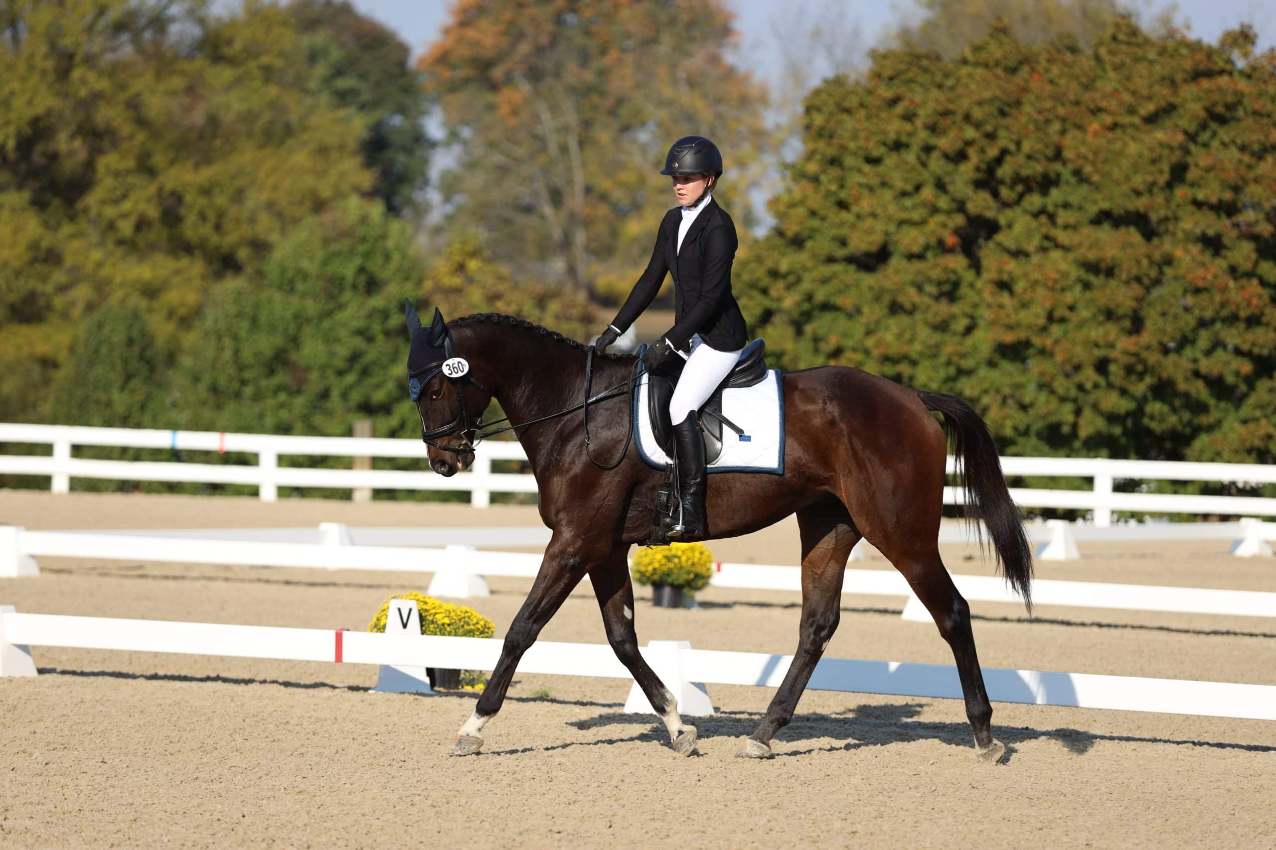 The Cost of Aftercare