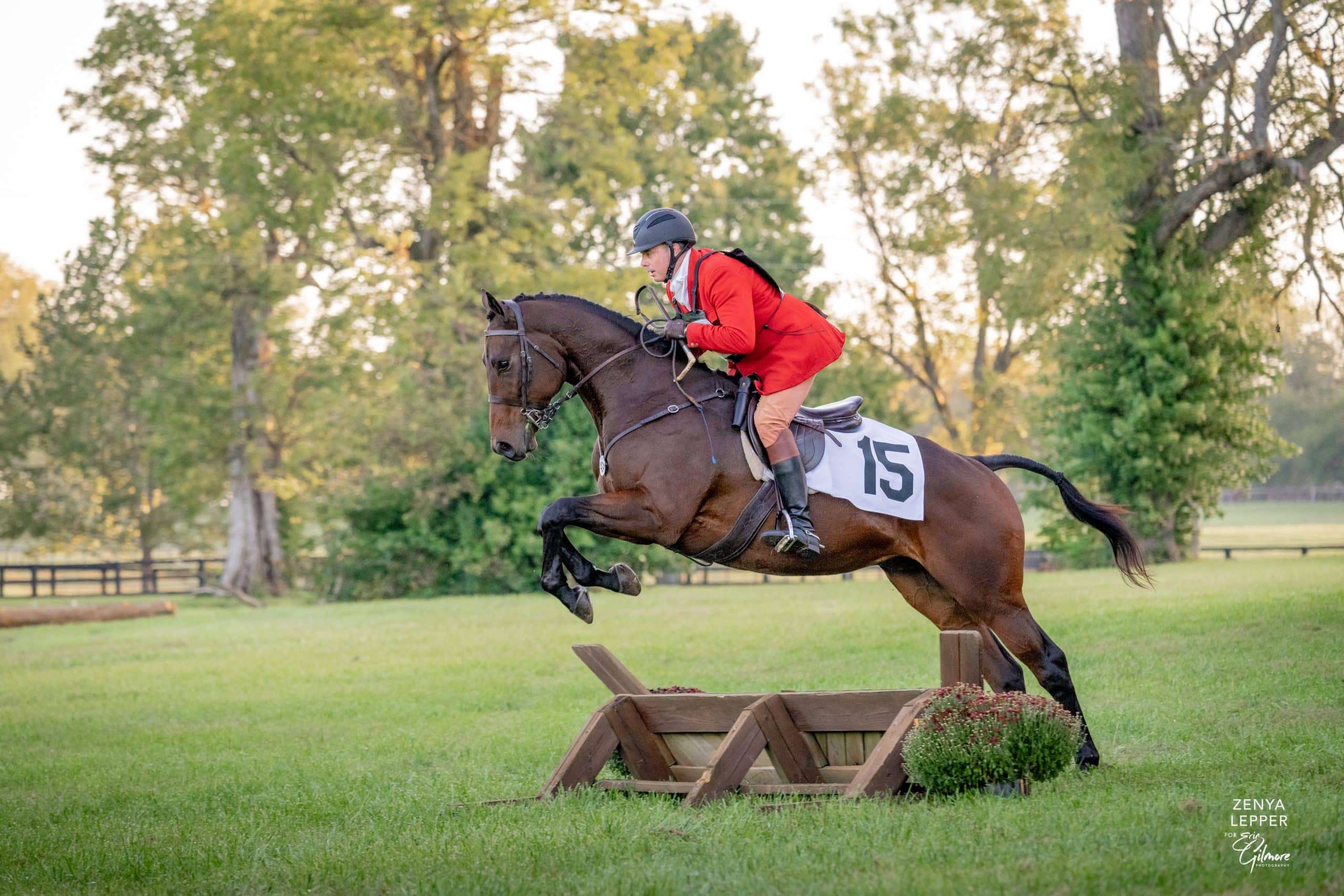 Second Acts: Champions For the Breed