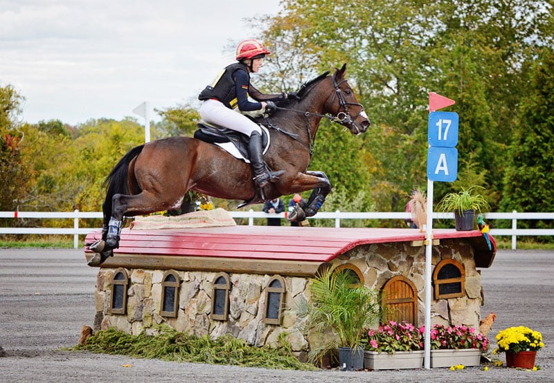 Featured image for “The Thoroughbreds of the 2017 Rolex Kentucky Three-Day Event”