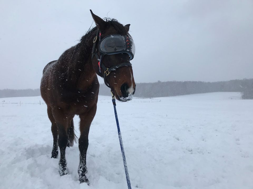 Featured image for “Webinar: How to Train When You Can’t Ride”